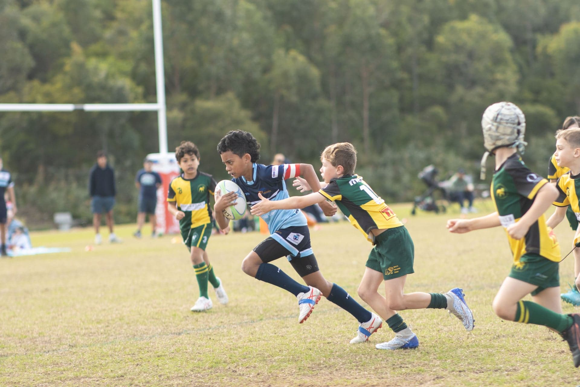 2026 Season Registration Now Open