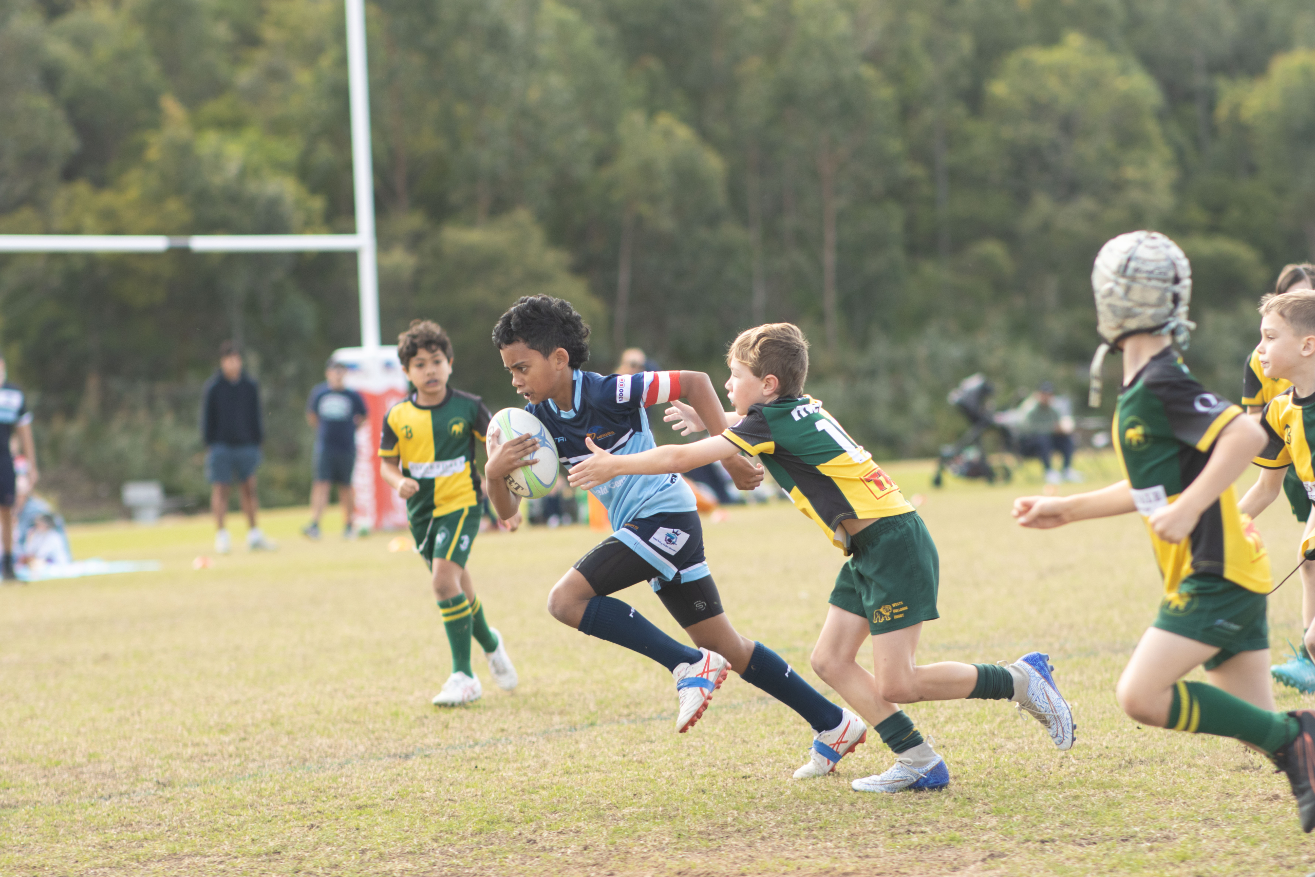 2026 Season Registration Now Open